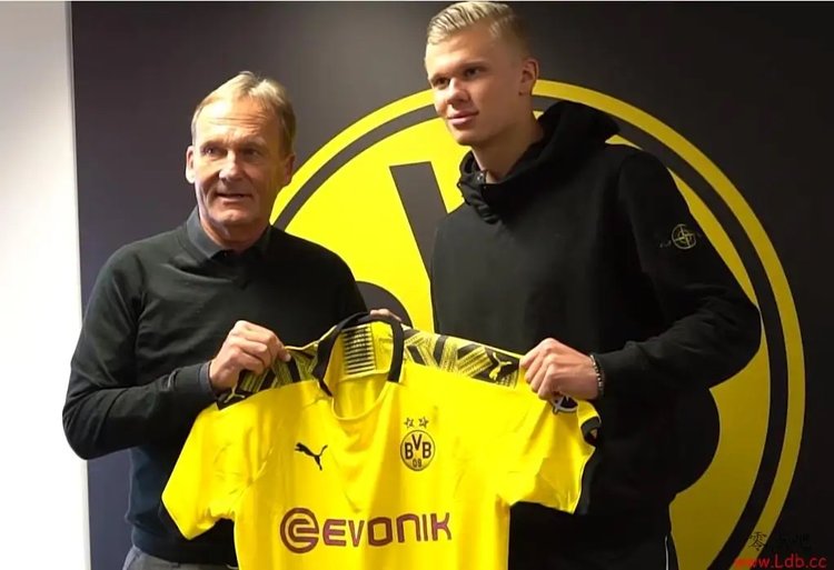 泰山纪念建队32周年，队史5次夺顶级联赛冠军，8次足协杯冠军（泰山队迎来建队32周年：队史顶级联赛5冠、足协杯8冠）